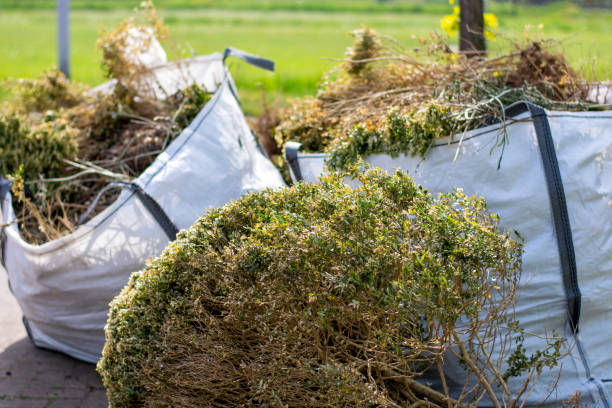 Best Recycling Services for Junk  in Maryville, TN
